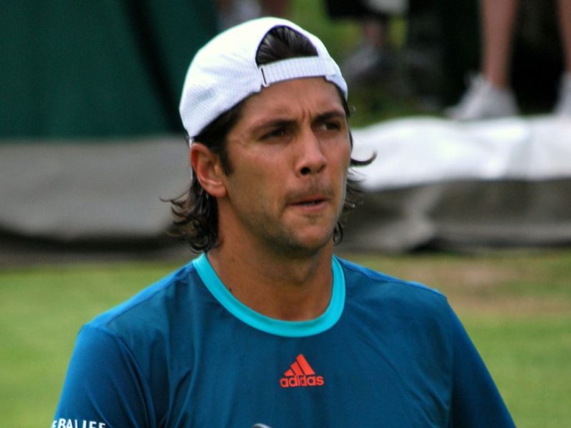 Fernando Verdasco