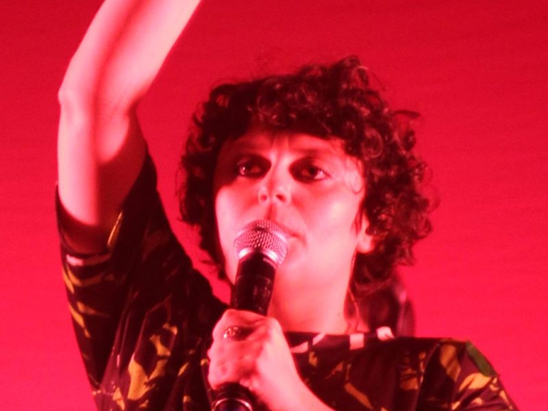 Ana Frango Elétrico