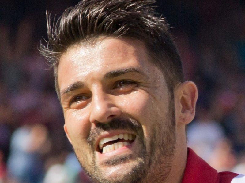 David Villa