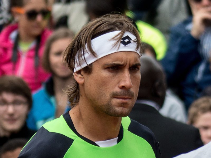 David Ferrer